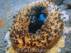 The wreck was a tug boat that was caught up in a storm by Karl Hodgkins 